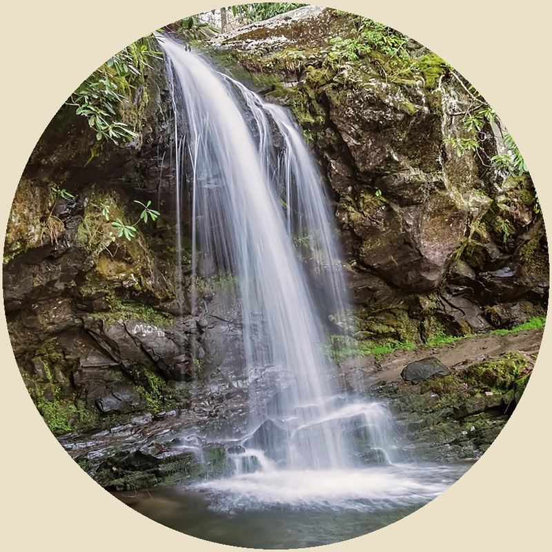 Grotto Falls pouring off a mossy rock ledge into a shallow pool, with rhododendron around the rocks